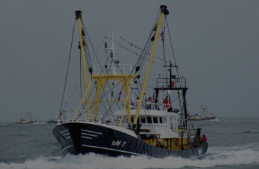 Fishing Wire Ropes 