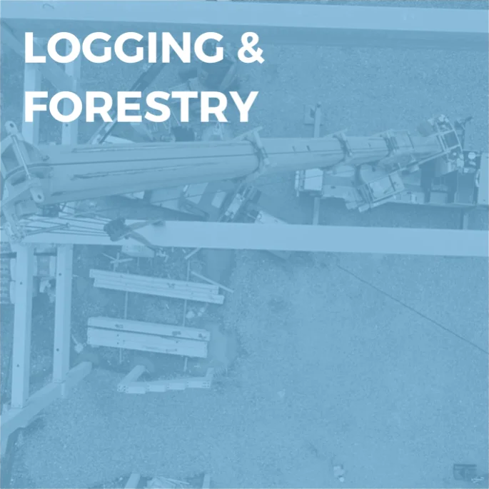 Logging Forestry Safety Wire Rope  manufacturer
