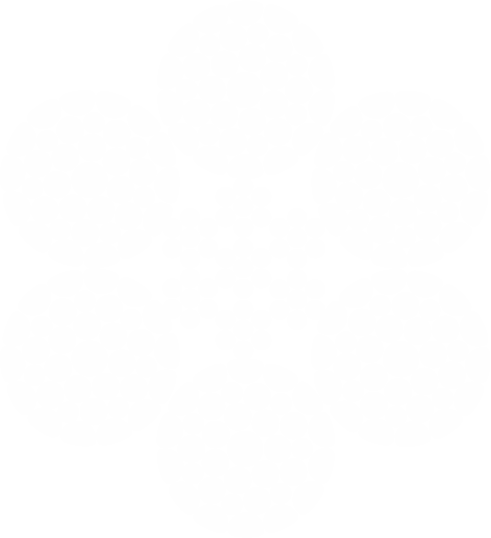 Wire Rope for Cranes